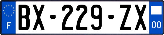 BX-229-ZX