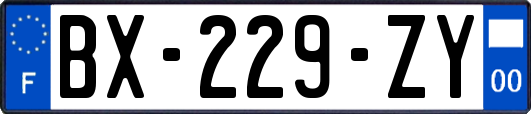 BX-229-ZY