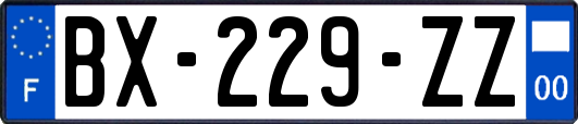 BX-229-ZZ