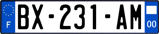 BX-231-AM