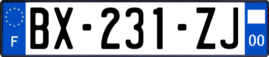 BX-231-ZJ