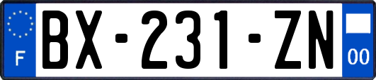 BX-231-ZN