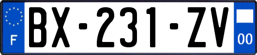 BX-231-ZV