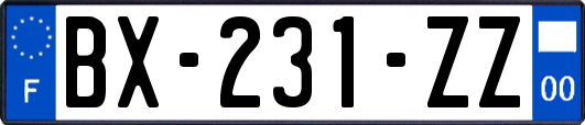 BX-231-ZZ
