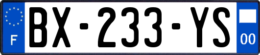 BX-233-YS