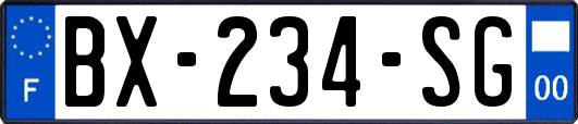 BX-234-SG