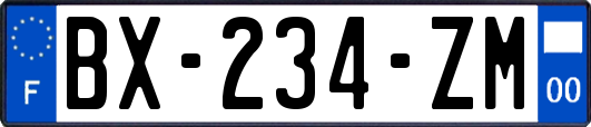 BX-234-ZM