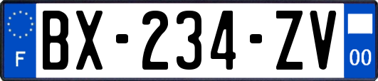 BX-234-ZV