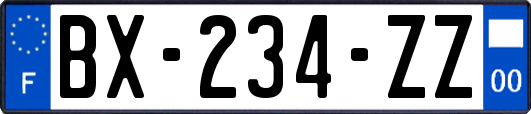 BX-234-ZZ