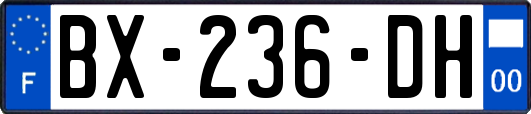 BX-236-DH