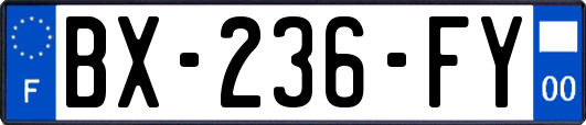 BX-236-FY