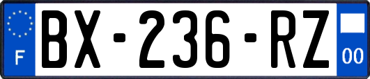 BX-236-RZ