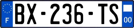 BX-236-TS