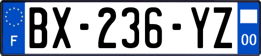 BX-236-YZ