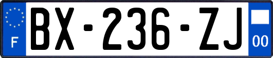 BX-236-ZJ