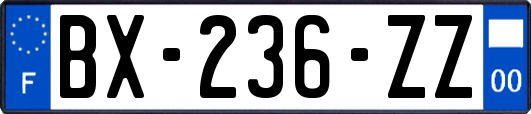 BX-236-ZZ