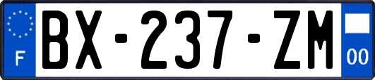 BX-237-ZM