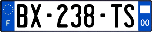 BX-238-TS