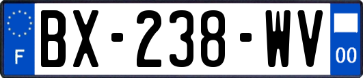 BX-238-WV