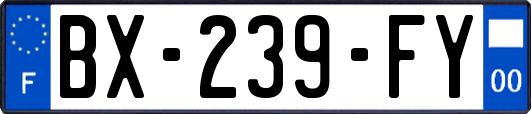 BX-239-FY