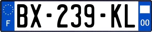 BX-239-KL