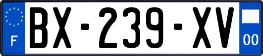 BX-239-XV