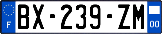 BX-239-ZM