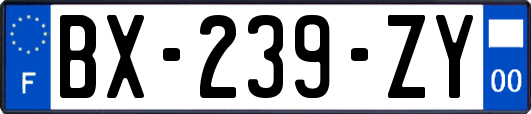 BX-239-ZY