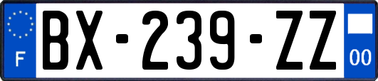BX-239-ZZ