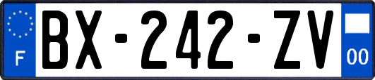 BX-242-ZV