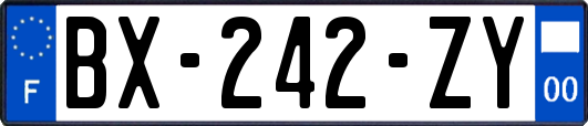 BX-242-ZY