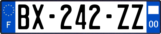 BX-242-ZZ