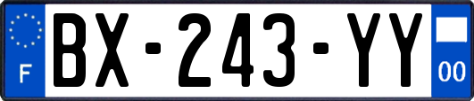 BX-243-YY