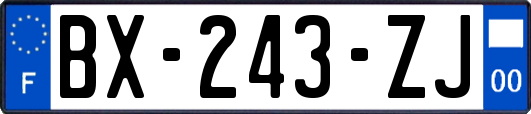 BX-243-ZJ