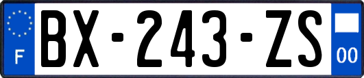BX-243-ZS