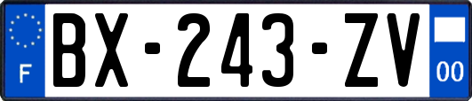 BX-243-ZV