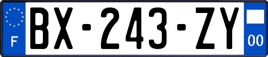 BX-243-ZY