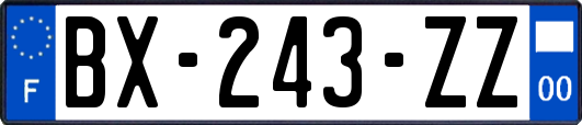 BX-243-ZZ