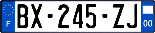 BX-245-ZJ