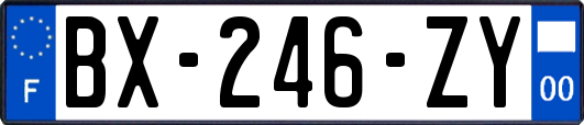 BX-246-ZY