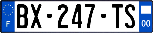 BX-247-TS