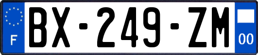 BX-249-ZM