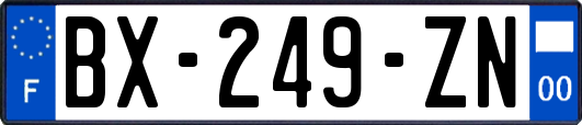 BX-249-ZN