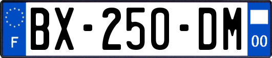 BX-250-DM