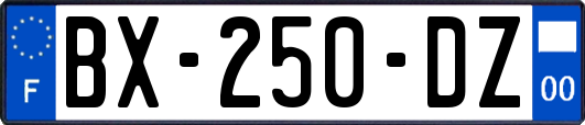 BX-250-DZ