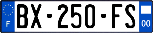 BX-250-FS