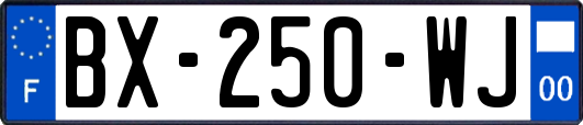 BX-250-WJ