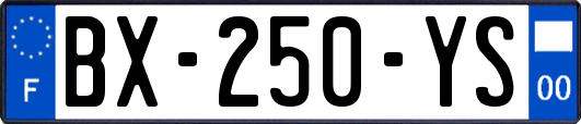 BX-250-YS