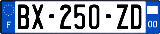 BX-250-ZD