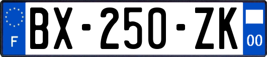 BX-250-ZK